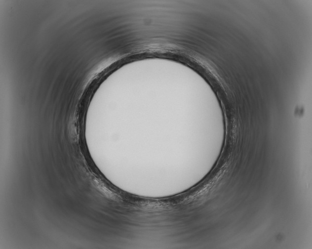 X0000096651018200803041144