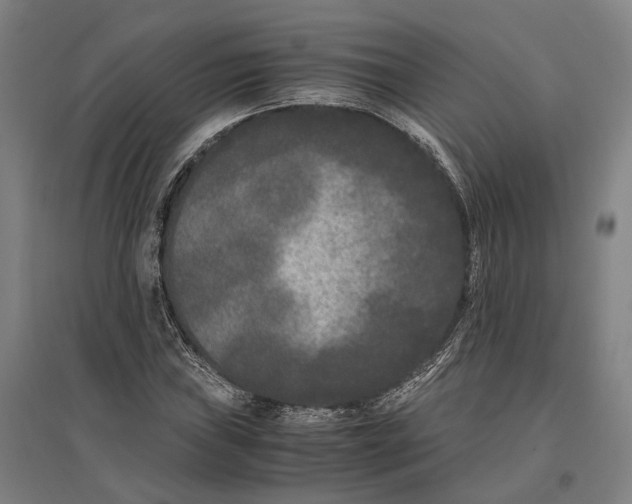 X0000096651019200803041144