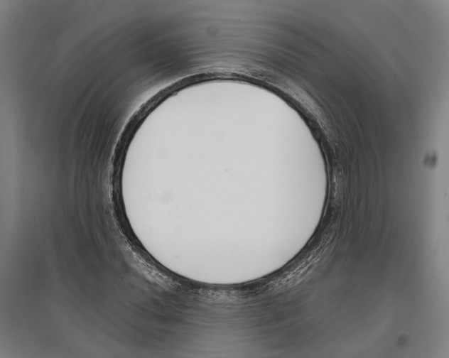 X0000096651020200803041144