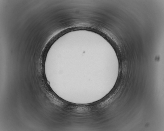 X0000096651021200803041144