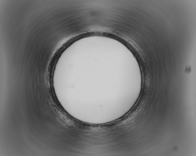 X0000096651022200803041144