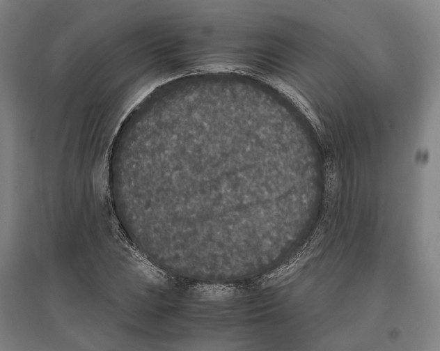 X0000096651023200803041145