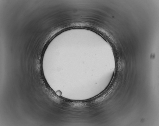 X0000096651025200803041145