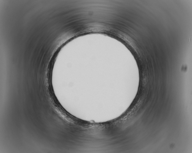 X0000096651026200803041145