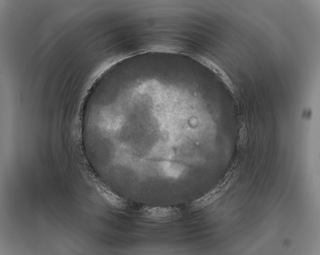 X0000096651027200803041145