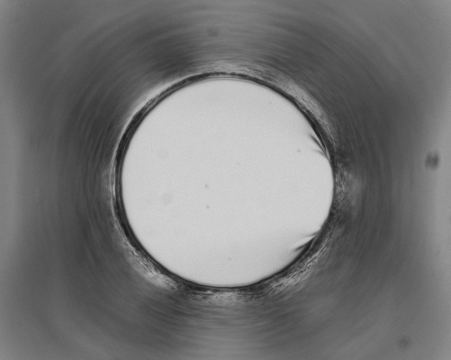 X0000096651028200803041145