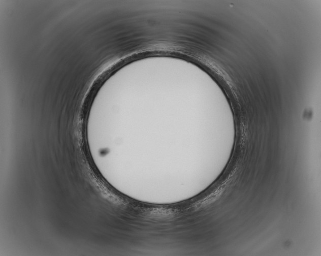 X0000096651029200803041145