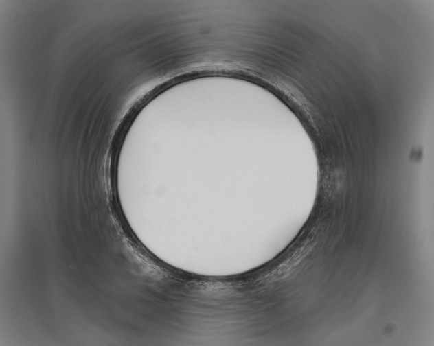 X0000096651030200803041145