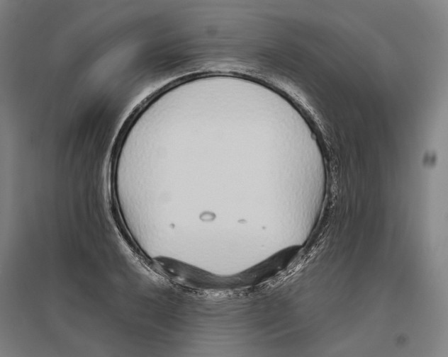 X0000096651032200803041145