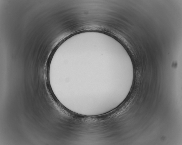 X0000096651034200803041145