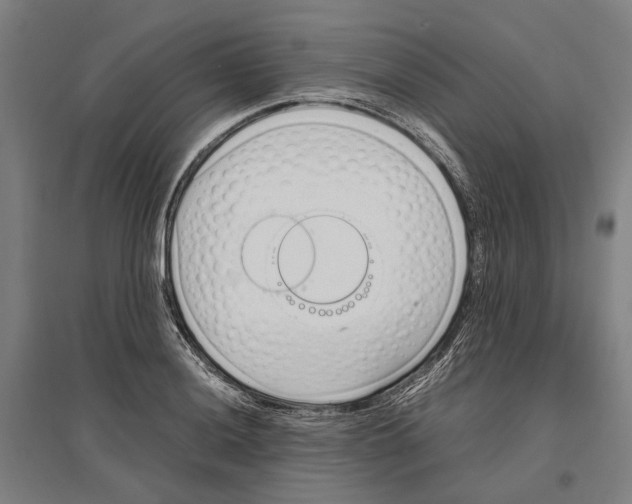 X0000096651036200803041145