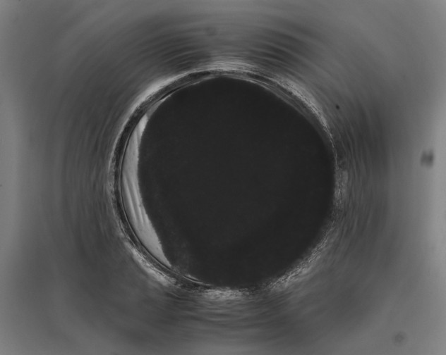 X0000096651037200803041145