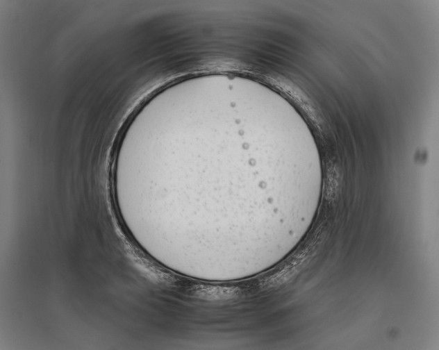 X0000096651039200803041145