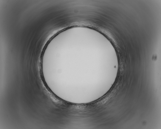 X0000096651040200803041145