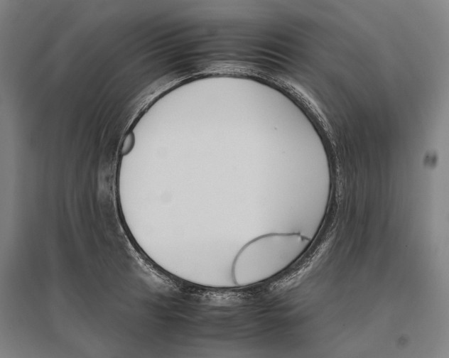 X0000096651041200803041145