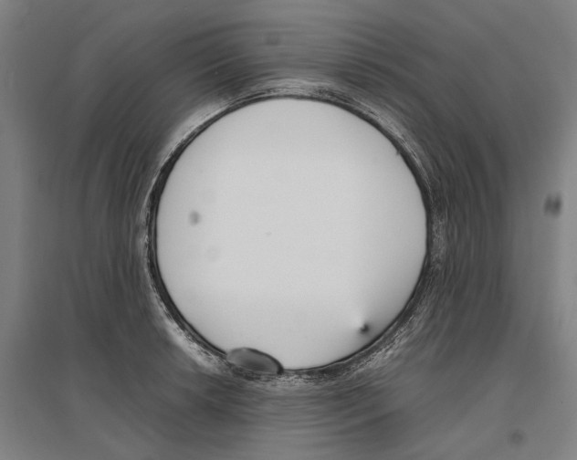 X0000096651042200803041145