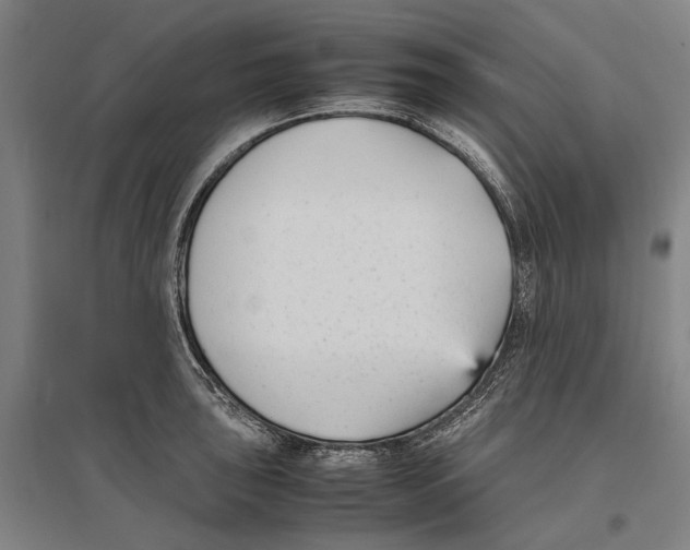 X0000096651043200803041145