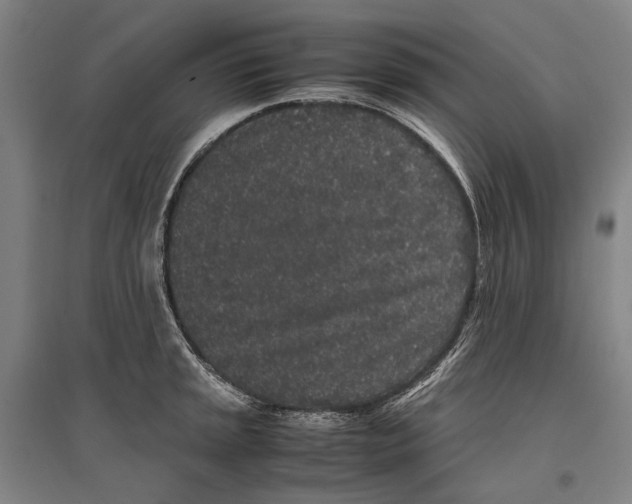 X0000096651045200803041145