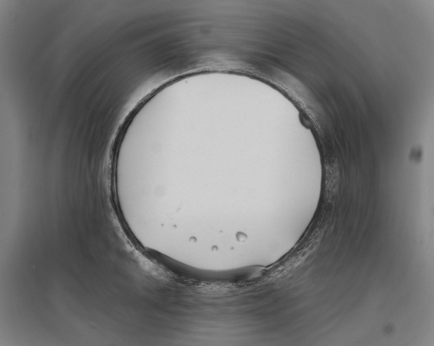 X0000096651046200803041145