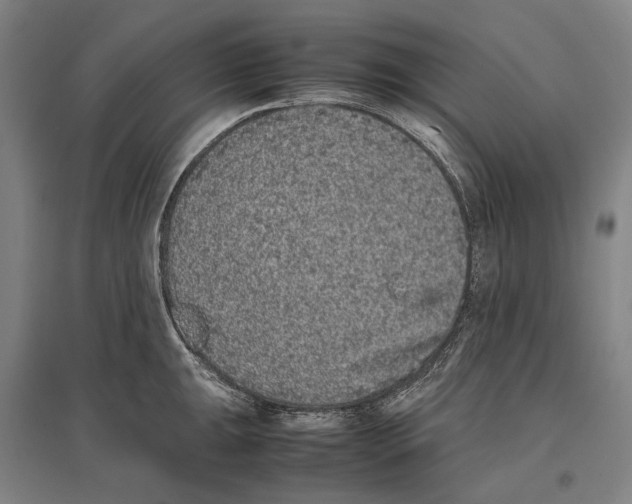 X0000096651047200803041145