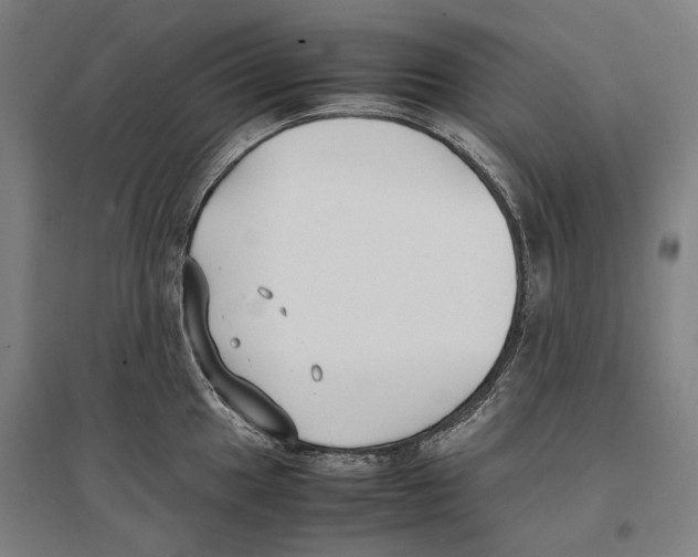 X0000096651049200803041145