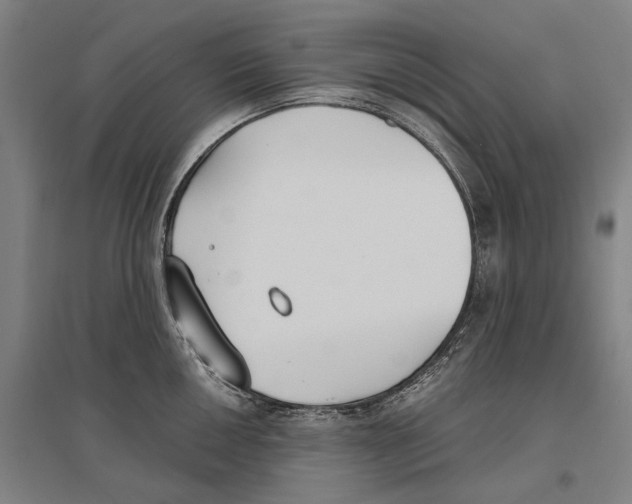 X0000096651050200803041145