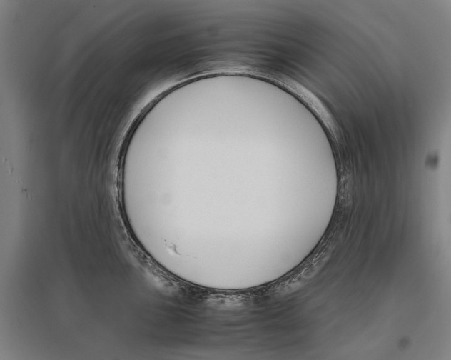 X0000096651051200803041145