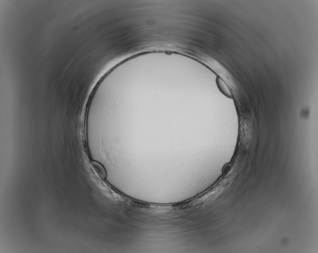 X0000096651052200803041145