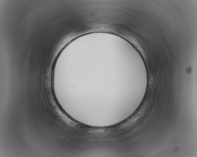 X0000096651054200803041145