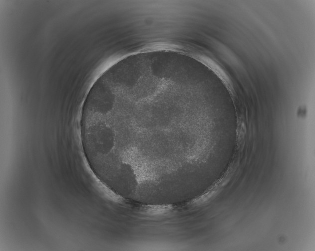 X0000096651055200803041145