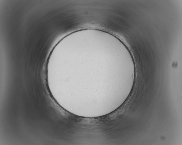 X0000096651056200803041145