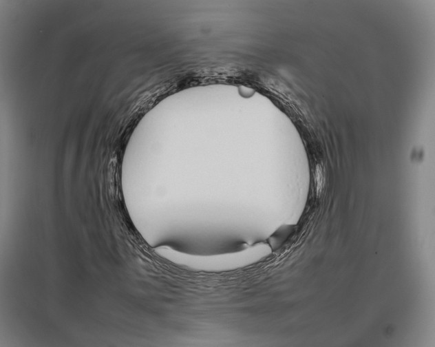 X0000096651059200803041144