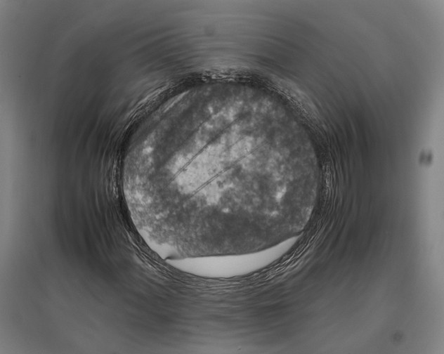 X0000096651060200803041144