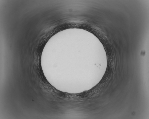 X0000096651061200803041144