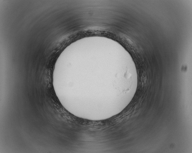 X0000096651062200803041144