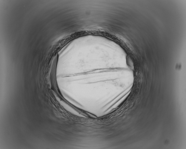 X0000096651063200803041144