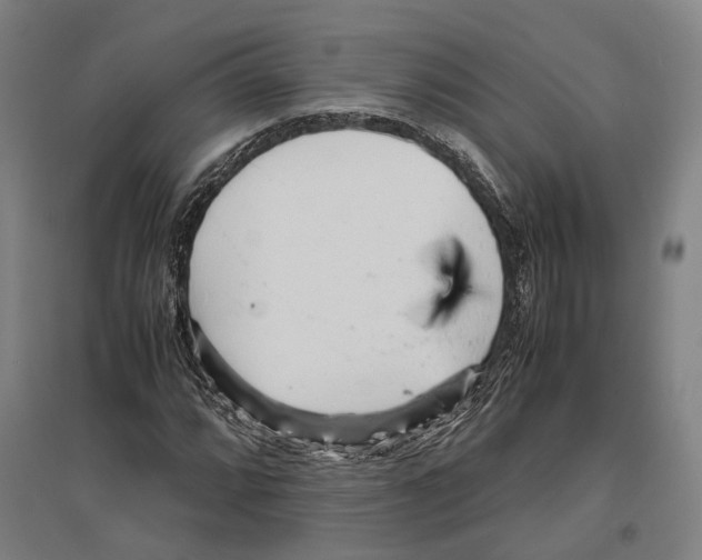 X0000096651064200803041144