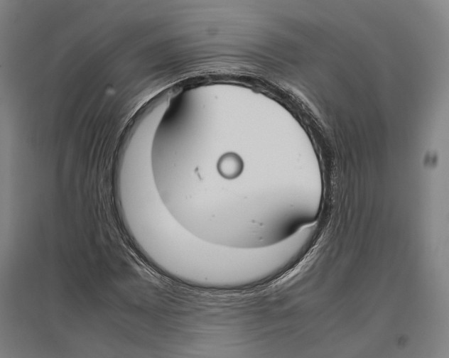 X0000096651065200803041144