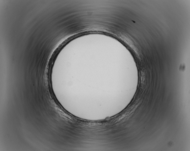 X0000096651068200803041144