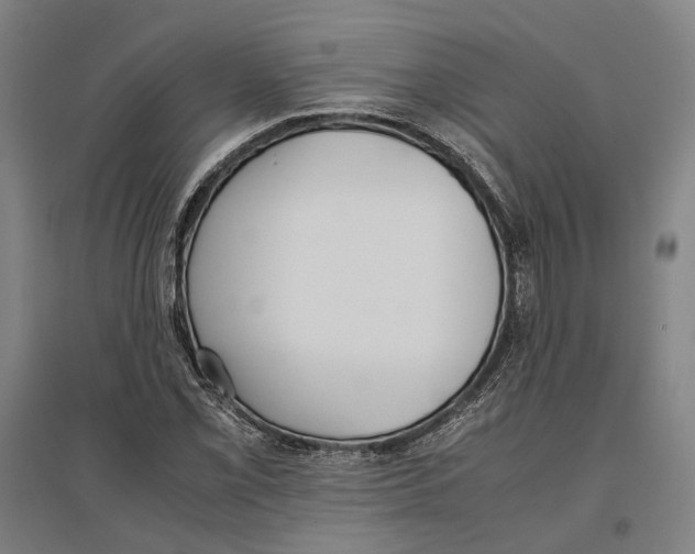 X0000096651069200803041144