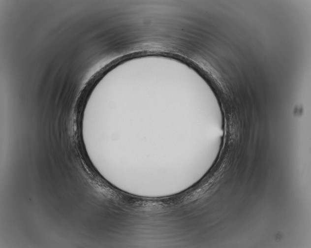 X0000096651070200803041144