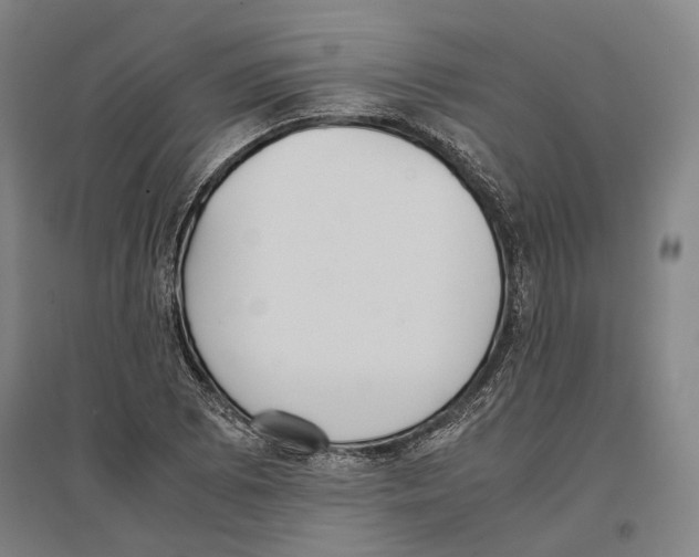 X0000096651073200803041144