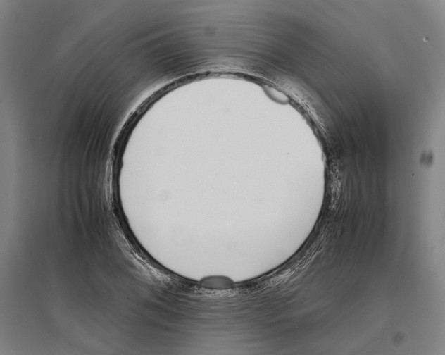 X0000096651076200803041144