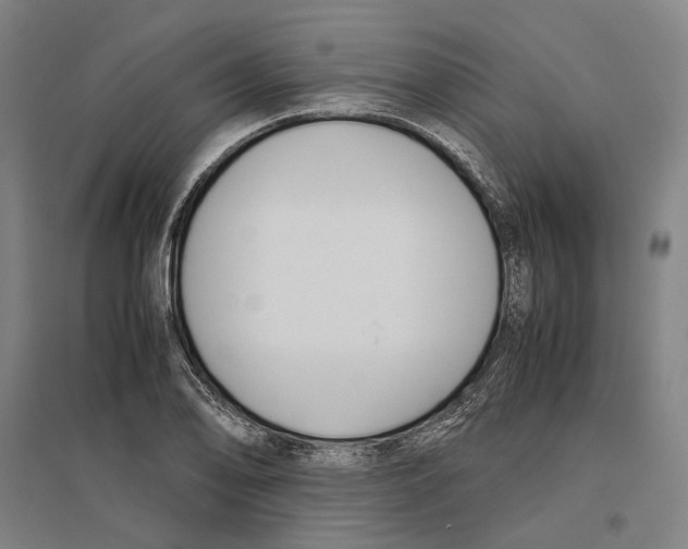 X0000096651078200803041144