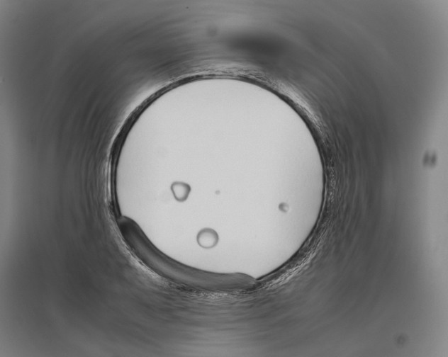 X0000096651079200803041144