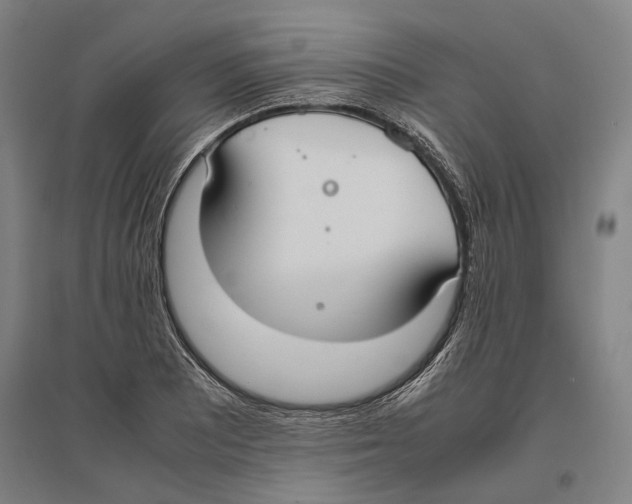 X0000096651081200803041144