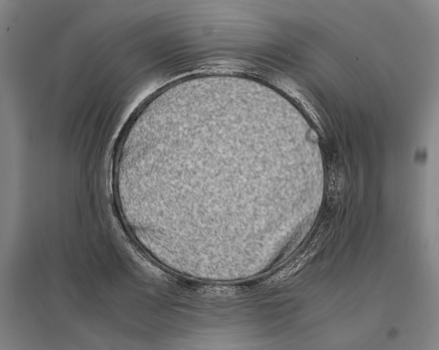 X0000096651083200803041144