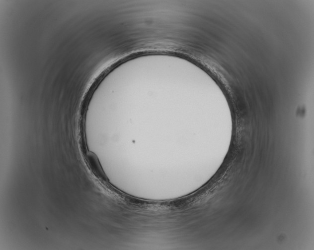 X0000096651085200803041144