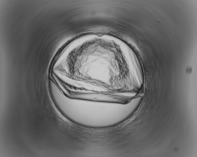 X0000096651087200803041144