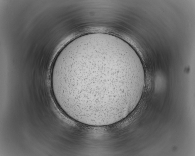 X0000096651090200803041144